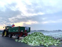 AgroUnia AgroPowstanie 2019