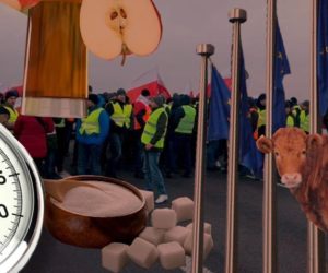 Ciekawostki rolnicze w&nbsp;100 sekund – m.in. Kolejny protest rolników