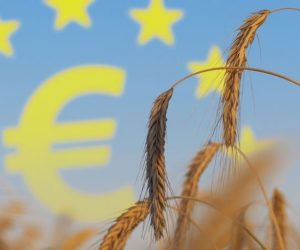 Nowy rok, nowe możliwości- fundusze unijne 2019