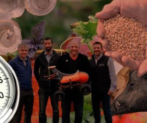 Ciekawostki rolnicze w&nbsp;100 sekund – m.in. odstrzał dzików