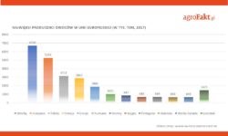 rynek owoców najwięksi producenci w UE