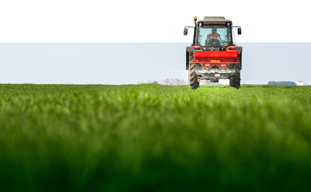 Nawożenie zbóż przewódkowych – jak i kiedy?