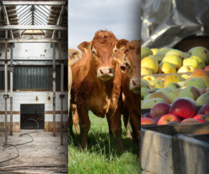 Ciekawostki rolnicze w&nbsp;100 sekund – m.in. nielegalny ubój