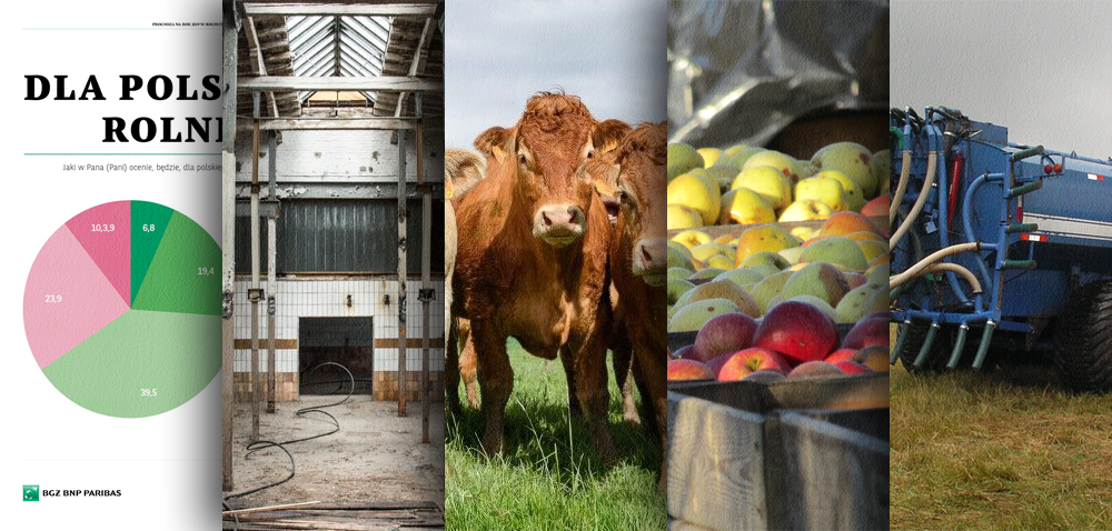 Ciekawostki rolnicze w 100 sekund – m.in. nielegalny ubój