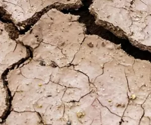 susza ekologia