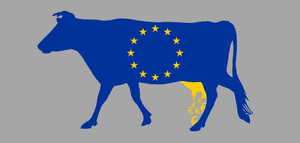 krowa z flagą ue