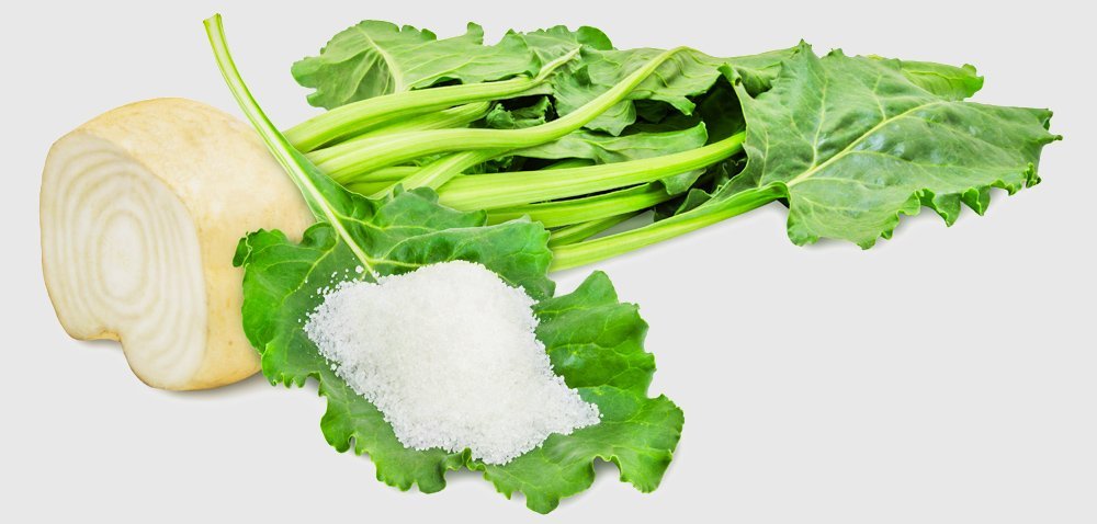 burak-cukrowy-wspaniały