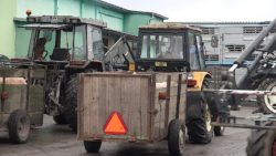 trzoda do likwidacji transport świń