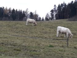 Wniosek o zwrot podatku akcyzowego