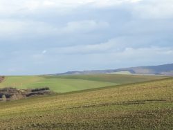 Wniosek o zwrot podatku akcyzowego