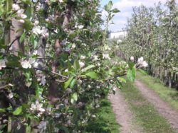 Pomoc na rozpoczęcie działalności gospodarczej