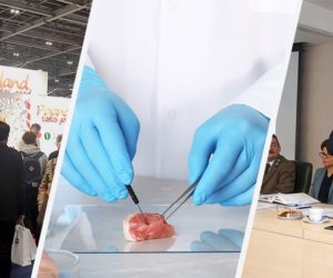 główne kontrola mięsa targi