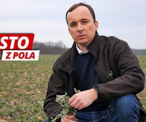 Rzepak ozimy i&nbsp;choroby grzybowe. Rusza drugi sezon „Prosto z&nbsp;pola” [WIDEO]