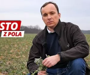 film prosto z pola zawada