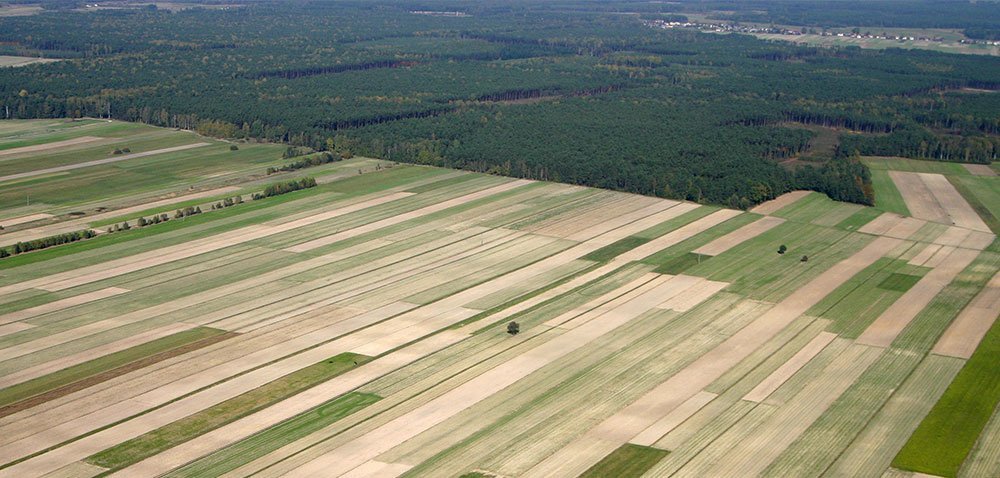 pole widziane z góry