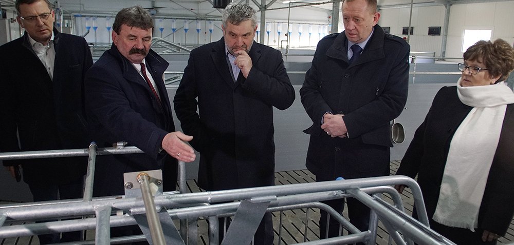 nowoczesna w pełni skomputeryzowana chlewnia
