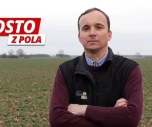 prosto z pola daniel zawada