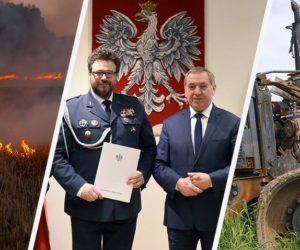 wypalanie traw wyróżniające