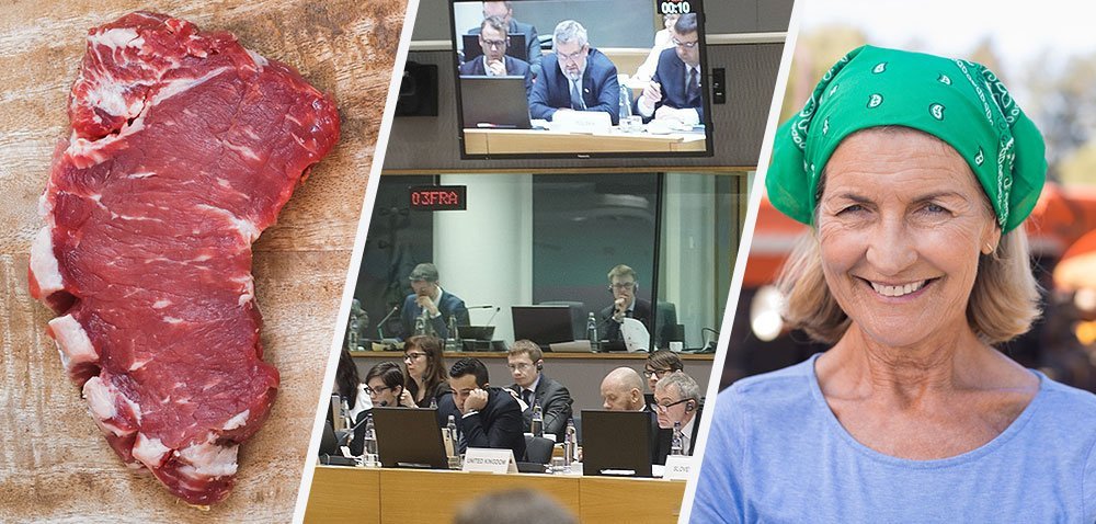 Polska zbiera pochwały w&nbsp;Brukseli [Aktualności]