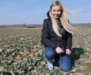 Nowy herbicyd w rzepaku – ocena wiosenna [WIDEO]