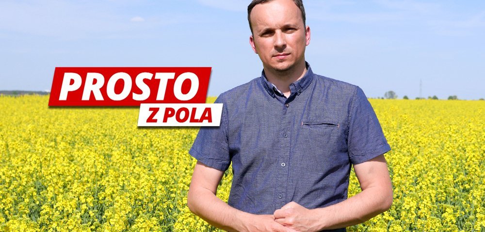 Jak chronić rzepak, gdy opadają pierwsze płatki? [WIDEO]