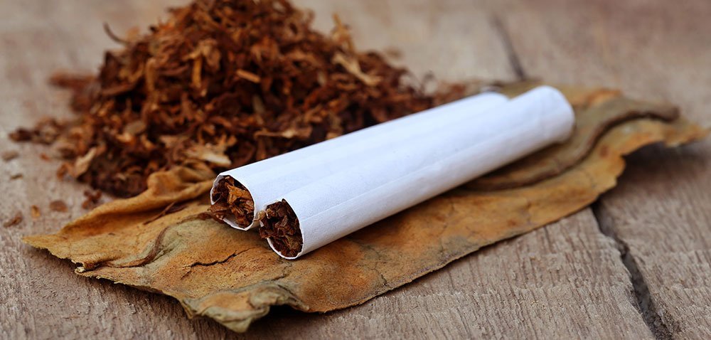 aktualności rolnicze 