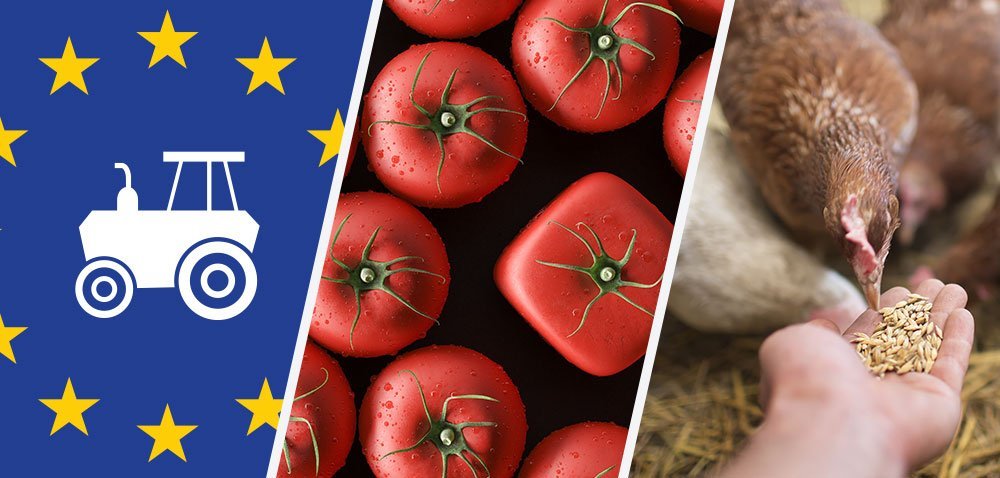 Jakość żywności zależna od lokalizacji? Koniec podwójnych standardów! [Aktualności]