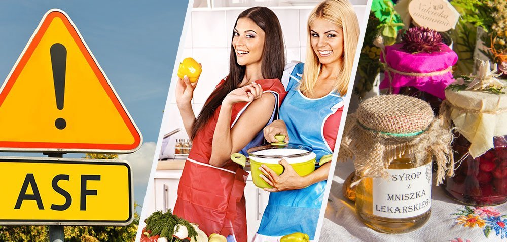 Nie uciekajmy od polskiego jedzenia, bo szkoda! [Aktualności]