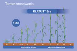 Terminy stosowania Elatus Era
