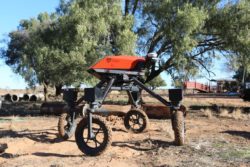 Autonomiczny robot rolniczy z Australii