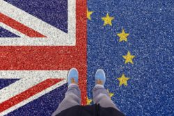 brexit bez umowy