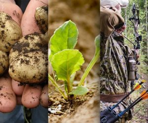 Ciekawostki rolnicze w&nbsp;100 sekund. Sposób na chwasty