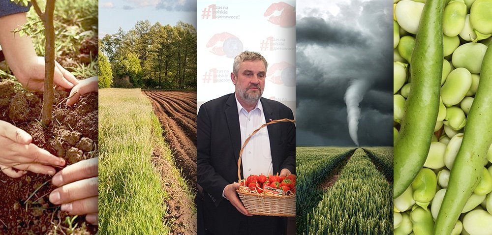 Ciekawostki rolnicze w 100 sekund. Susza nie odpuści?