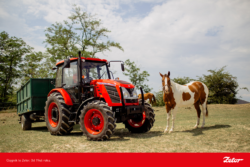 zetor major i koń