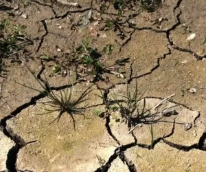 Czy grozi nam susza?