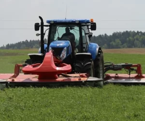 Siano. Kalkulacja kosztów produkcji roślin łąk i&nbsp;pastwisk