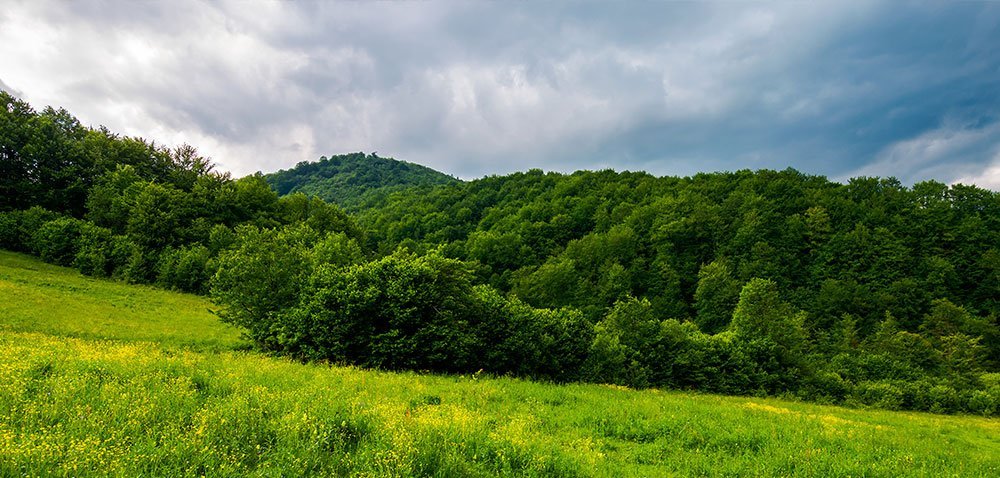 aktualności rolnicze 