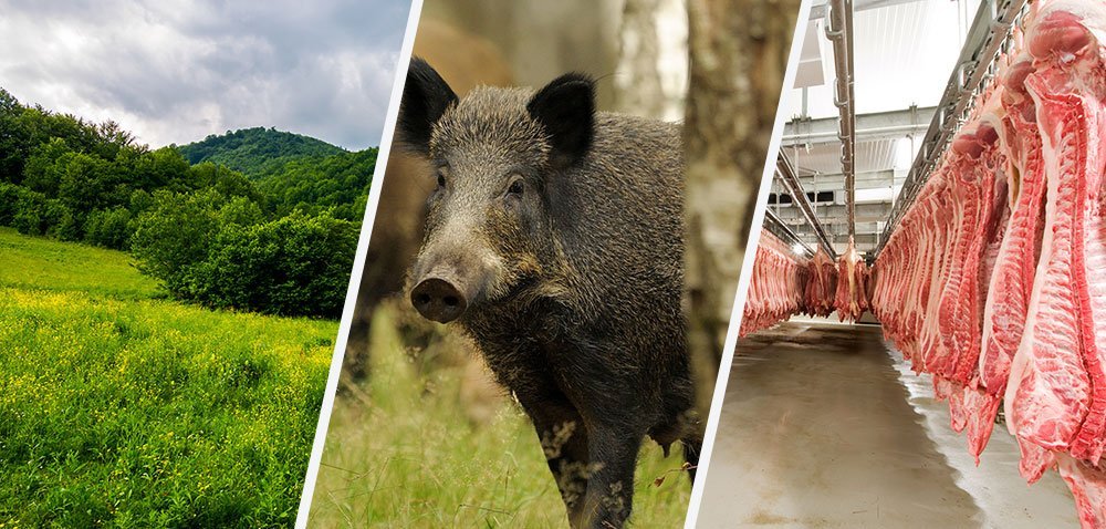 Wsparcie dla właścicieli lasów [AKTUALNOŚCI]