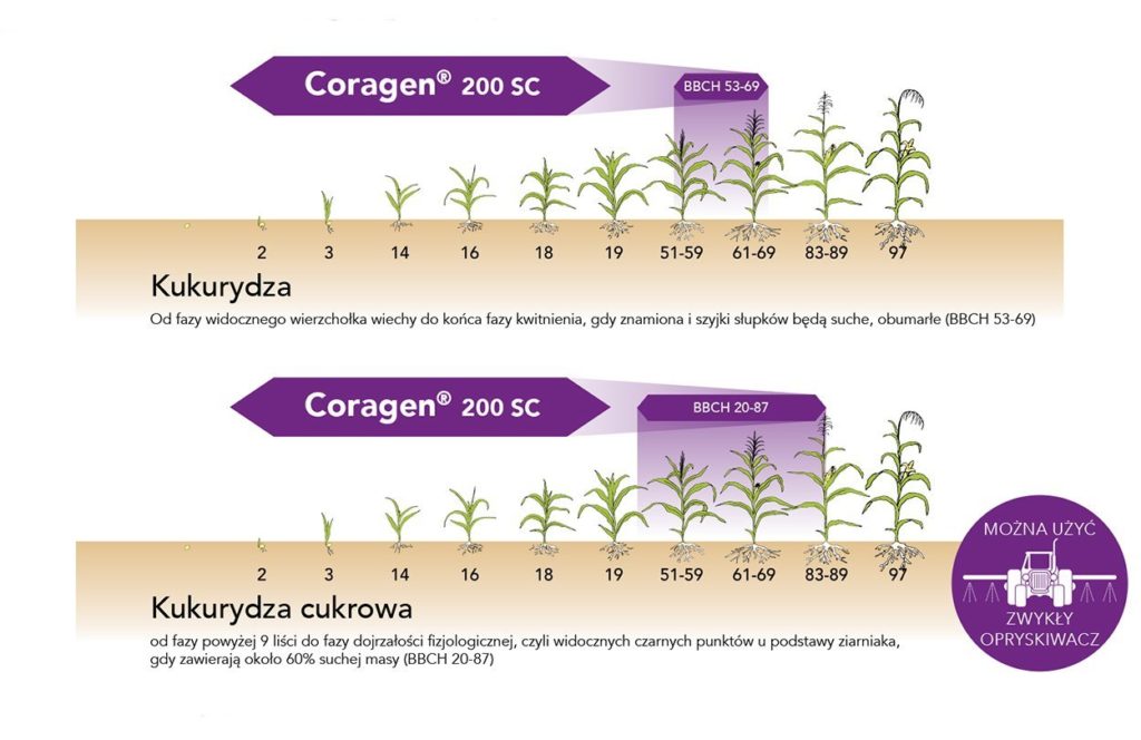Zalecenia stosowania Coragen 200 SC 
