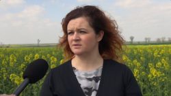 Elżbieta Gniewowska