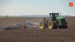 siew soi Opolszczyzna