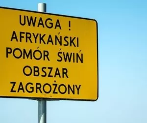 aktualności rolnicze- Zmiany w strefach ASF