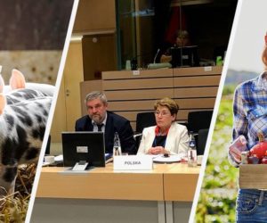 rolnicze aktualności obrót ziemią hodowla zwierząt