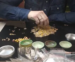 Brakuje analityków nasiennych, PIN zaczął ich szkolić