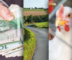 Ciekawostki rolnicze w 100 sekund. Zbyt niska pomoc unijna?