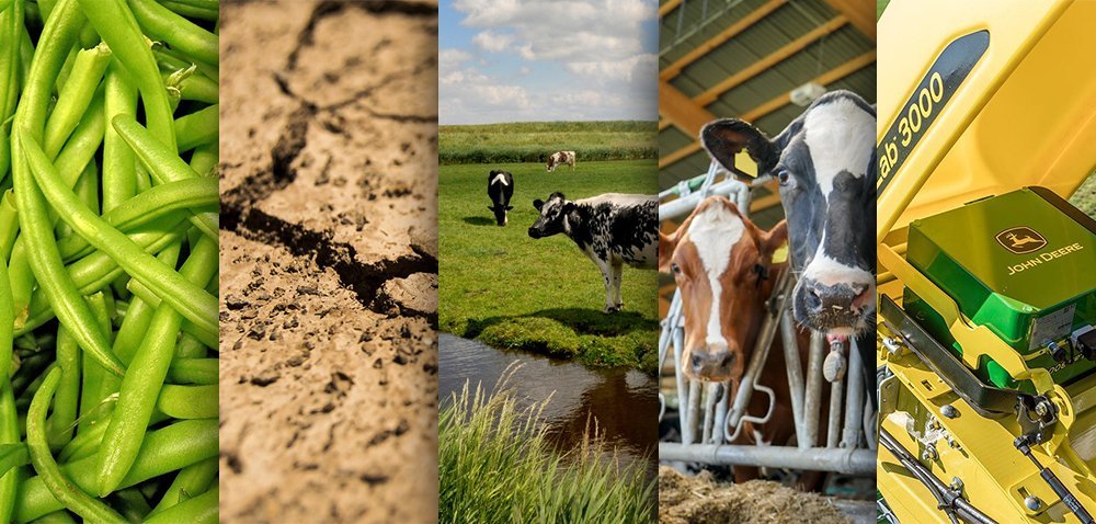 Ciekawostki rolnicze w 100 sekund. Skład mleka skrywa tajemnice?