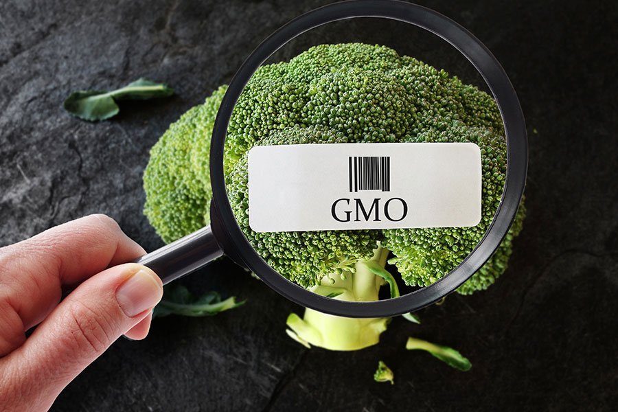 aktualności rolnicze 