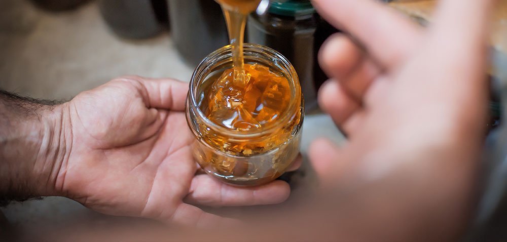 aktualności rolnicze 