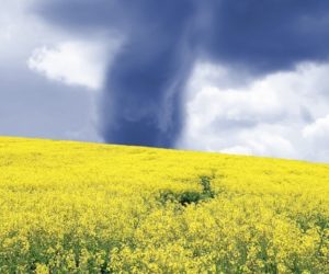 Polscy rolnicy płacą za anomalie pogodowe za dużo