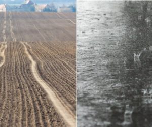 Susza rolnicza w&nbsp;lubuskim, powodzie na południu kraju